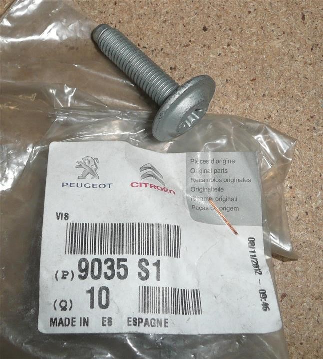 9035S1 Citroen/Peugeot Screw