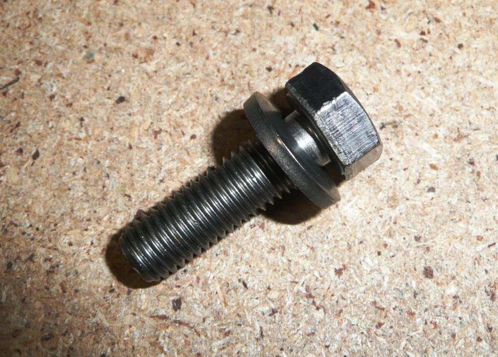 Bolt Citroen/Peugeot 6921 09