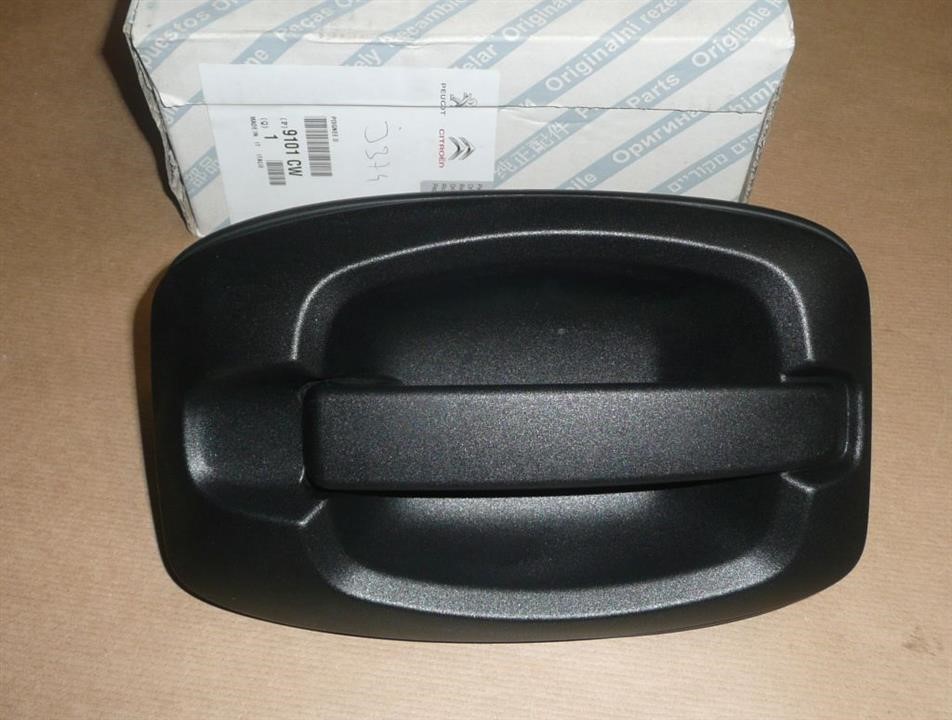 Door handle Peugeot: 9101CW Citroen/Peugeot Handle-assist