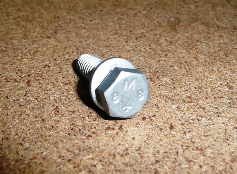 Bolt Citroen/Peugeot 6922 97
