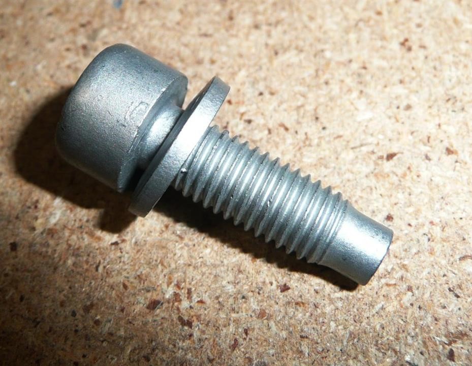 Bolt Citroen/Peugeot 6913 98