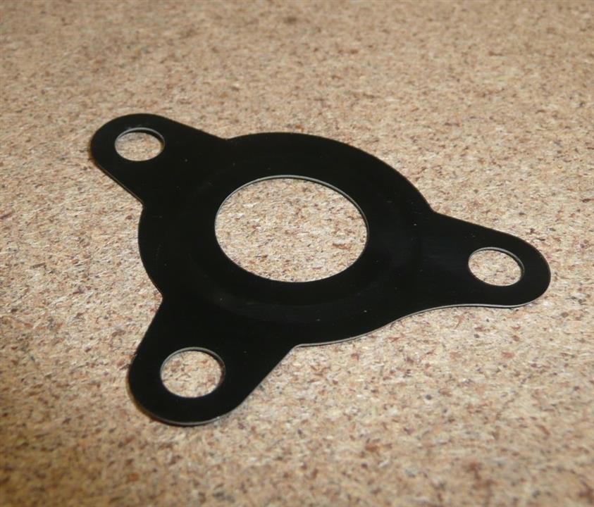 High pressure fuel pump gasket Citroen/Peugeot 1933 52