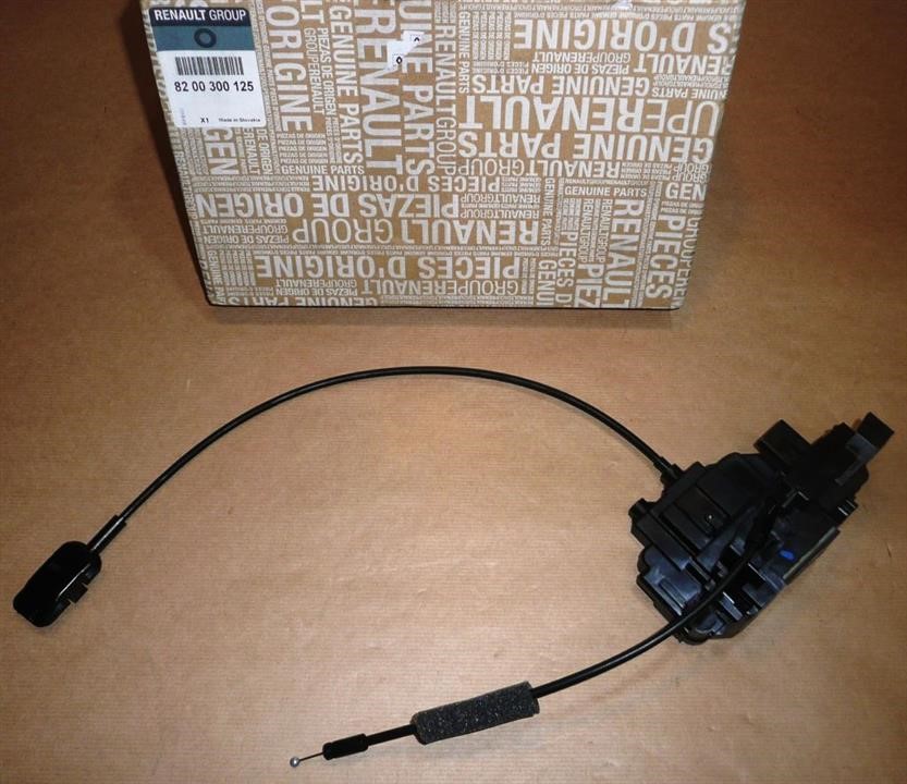 8200300125 Renault Auto part