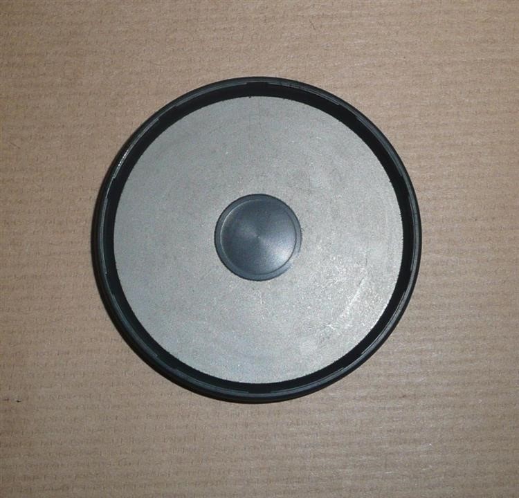 Renault Plug – price 66 PLN