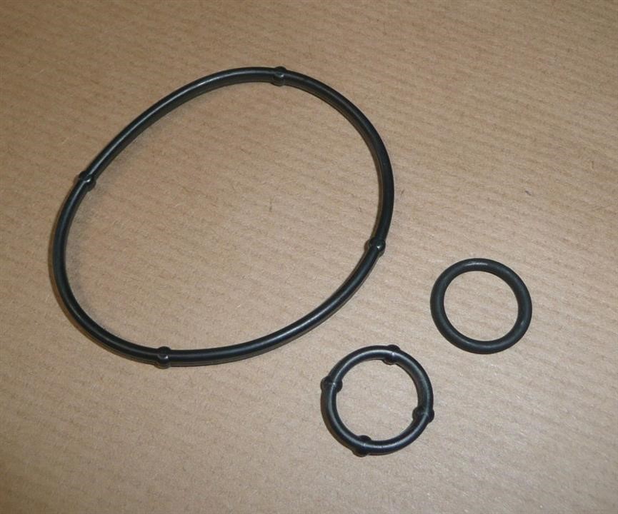 Vacuum pump gaskets, kit Citroen/Peugeot 4599 42