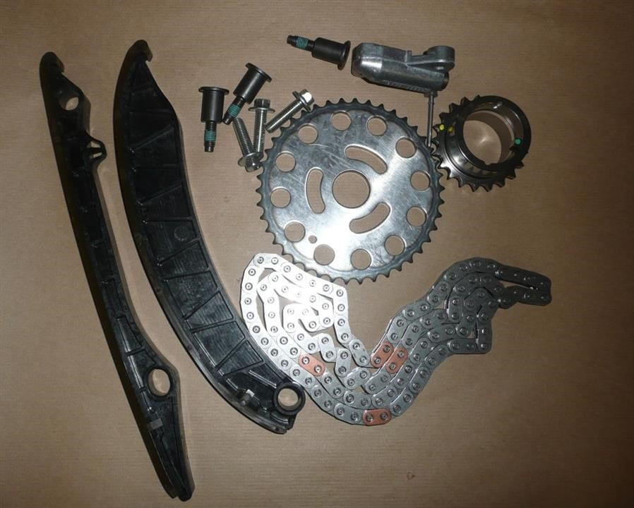 Timing chain Renault 13 0C 136 66R