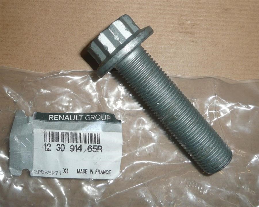 Buy Renault 12 30 914 65R at a low price in United Arab Emirates!