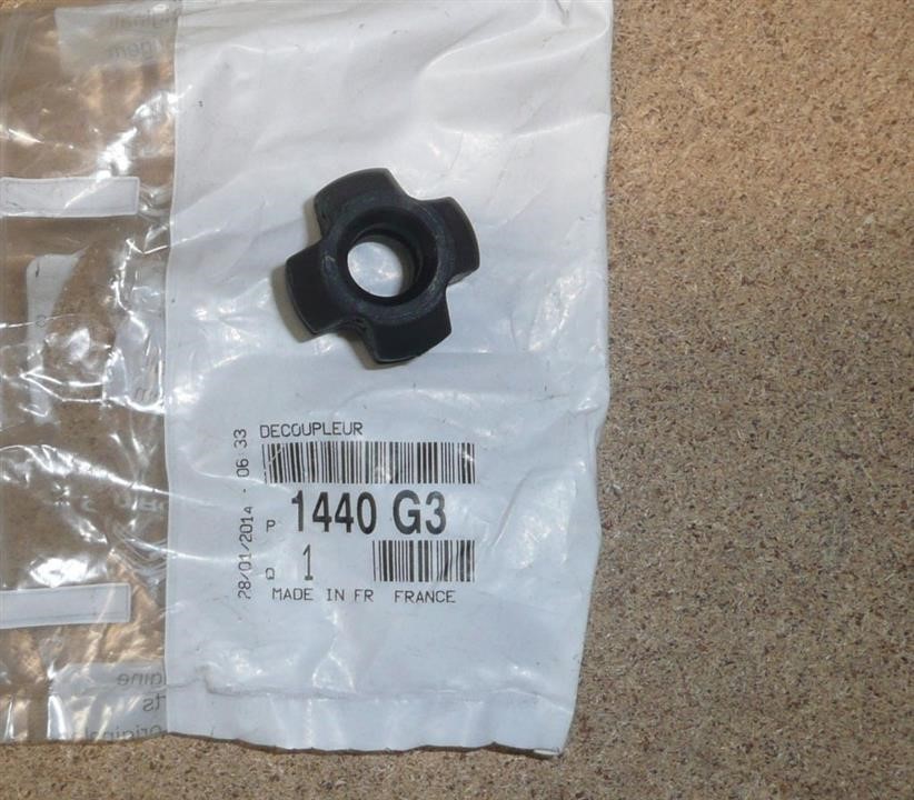 1440G3 Citroen/Peugeot Bushings