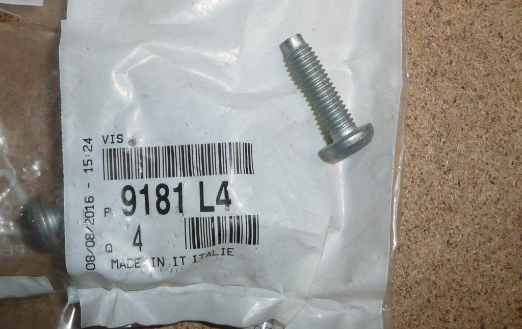 9181L4 Citroen/Peugeot Screw