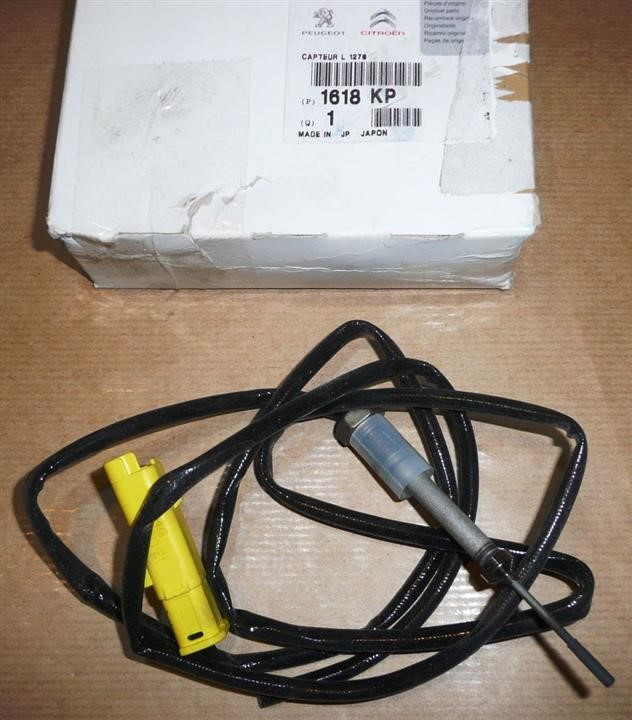 Buy Citroen/Peugeot 1618 KP at a low price in United Arab Emirates!