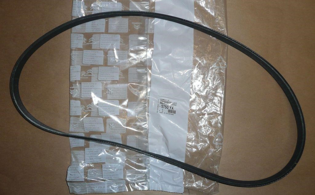 Poly-V belt Citroen/Peugeot 5750 YX