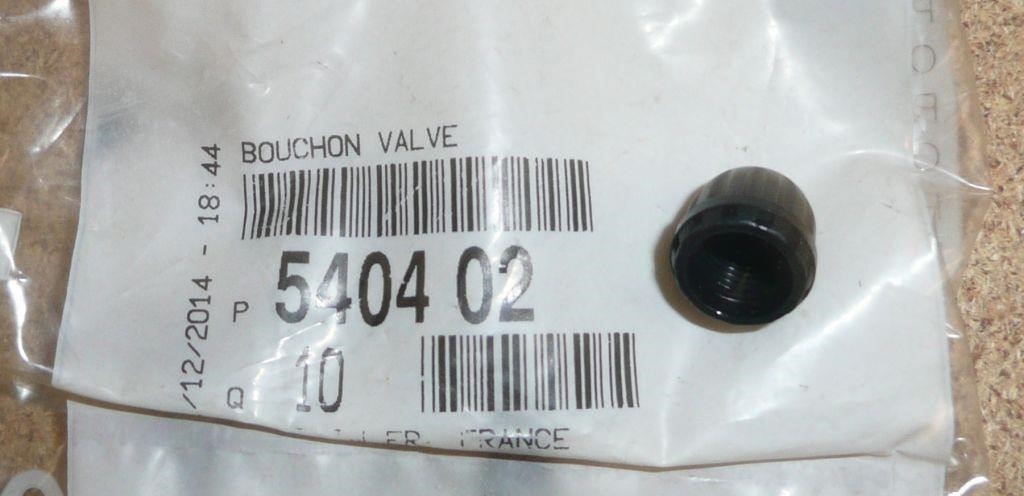 Sealing cap Citroen/Peugeot 5404 02