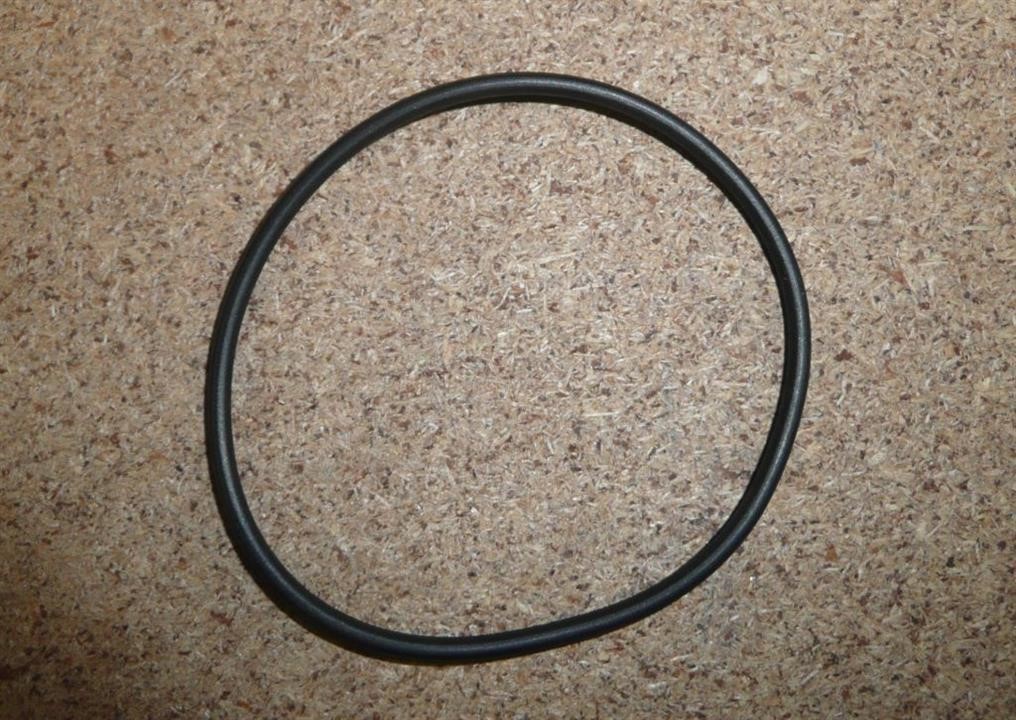 Citroen/Peugeot 4556 05 Ring sealing 455605