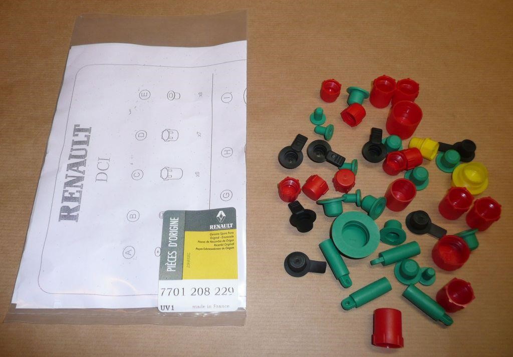 7701208229 Renault Plug