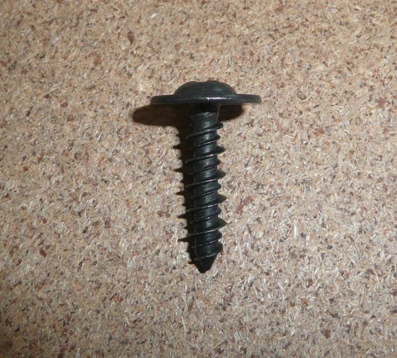 Self tapping screw Citroen/Peugeot 7489 53