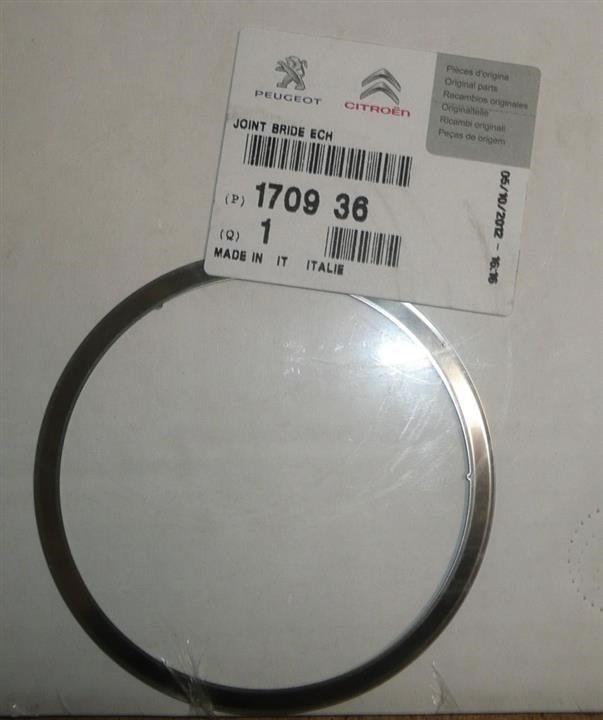 Citroen/Peugeot 1709 36 O-ring exhaust system 170936