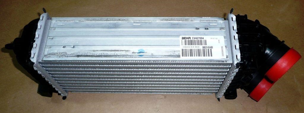 Buy Citroen/Peugeot 98 031 454 80 at a low price in United Arab Emirates!