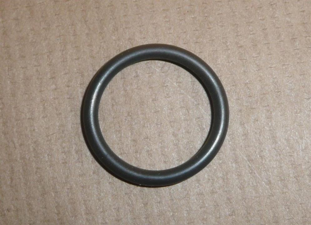 O-ring Citroen/Peugeot 1170 17