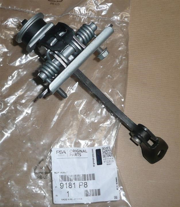 9181P8 Citroen/Peugeot Door limiter