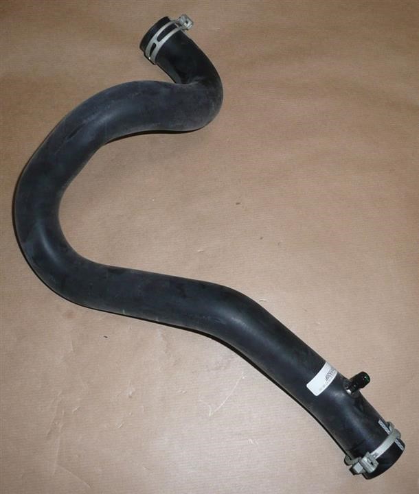 Coolant hose Citroen/Peugeot 1343 JZ