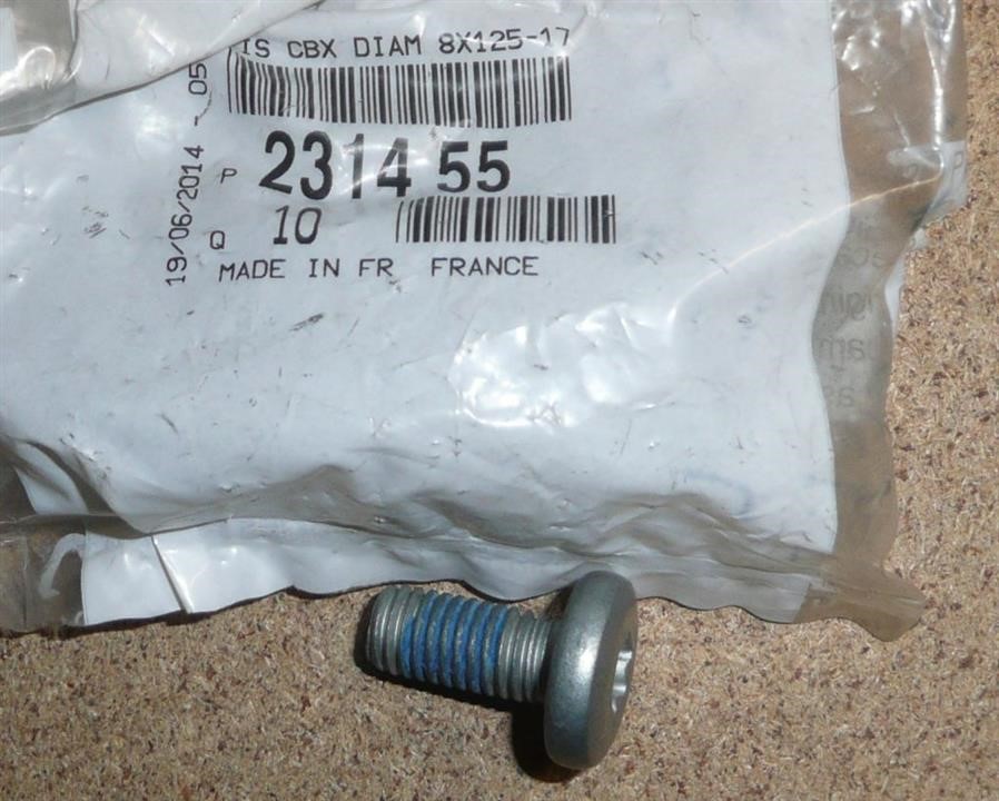 231455 Citroen/Peugeot Screw