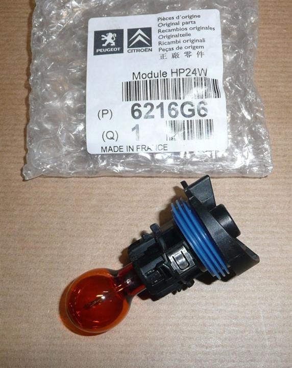 6216G6 Citroen/Peugeot Halogen lamp 12V