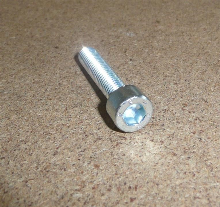 Screw Citroen/Peugeot 6913 N8