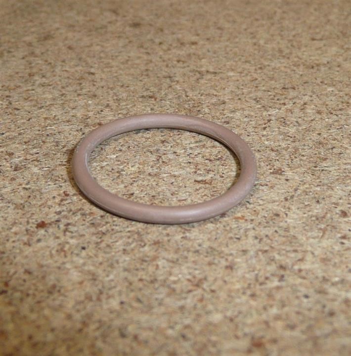 O-ring Citroen/Peugeot 6460 V1