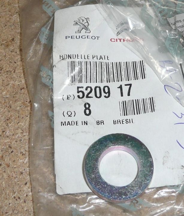 520917 Citroen/Peugeot Washer