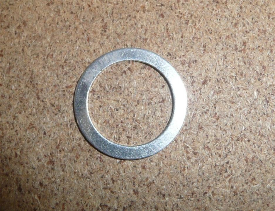 301708 Citroen/Peugeot Washer