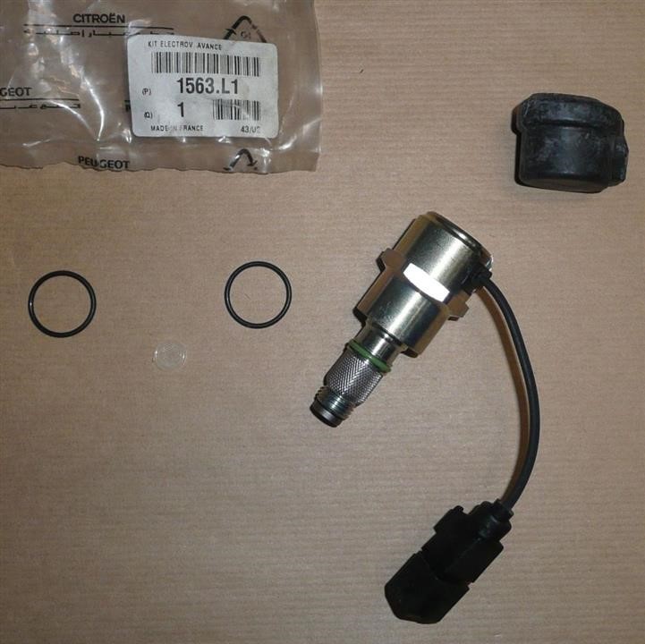 Citroen/Peugeot 1563 L1 Injection pump valve 1563L1