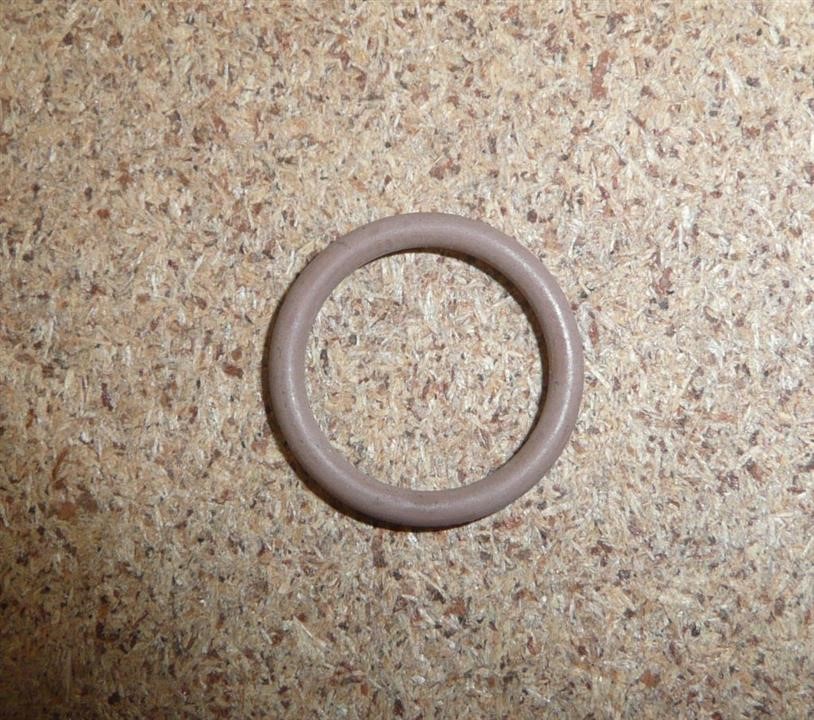 O-ring Citroen/Peugeot 6460 EP