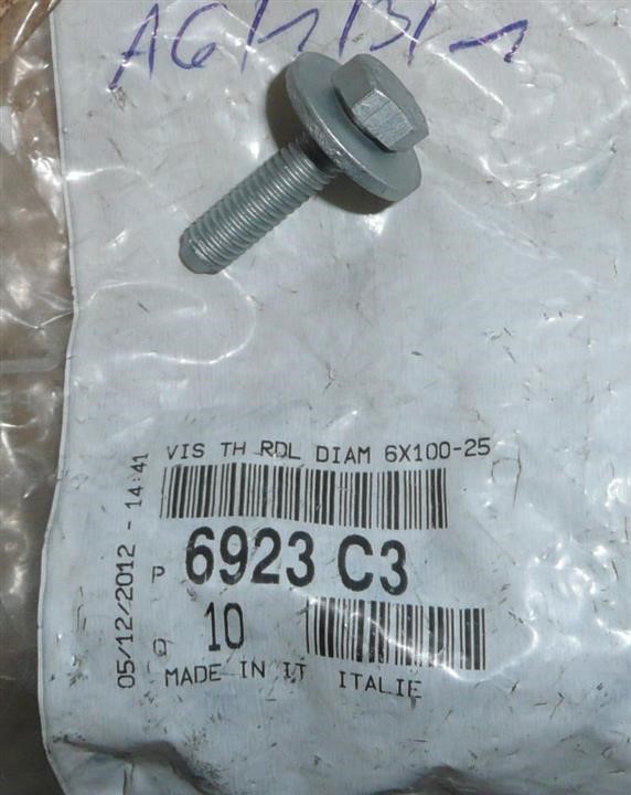 6923C3 Citroen/Peugeot Screw