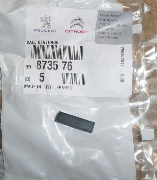 873576 Citroen/Peugeot Auto part