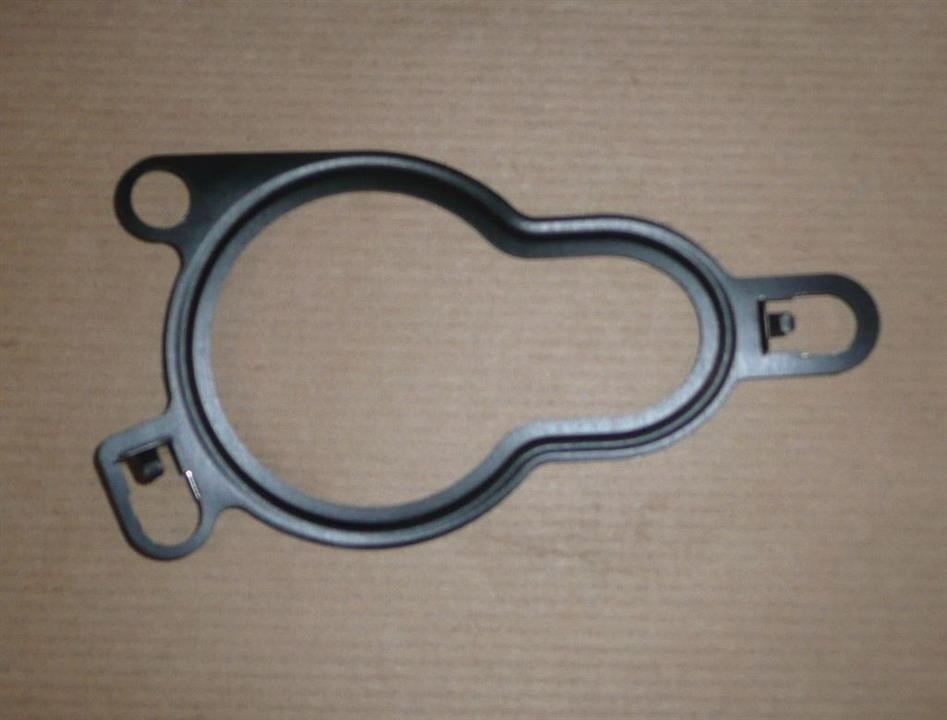 Exhaust Gas Recirculation Valve Gasket Renault 77 01 062 171