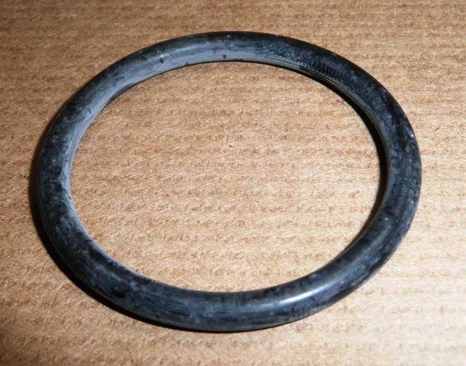 Termostat gasket Citroen/Peugeot 1340 91