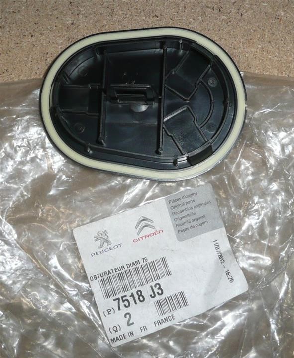7518J3 Citroen/Peugeot Plug