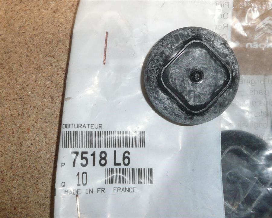 7518L6 Citroen/Peugeot Plug