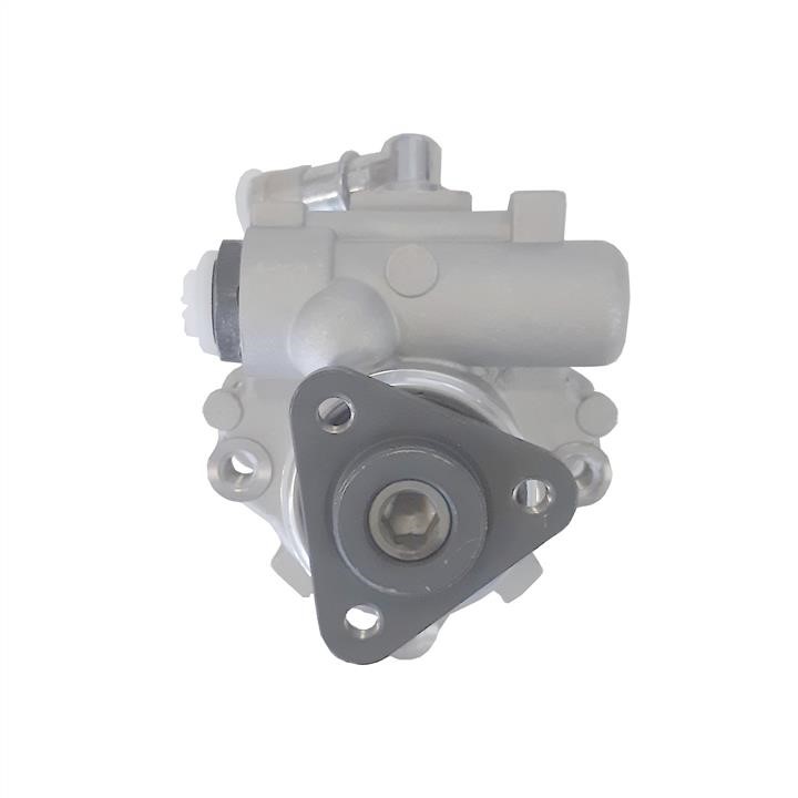 Hydraulic Pump, steering system WRC 4900822