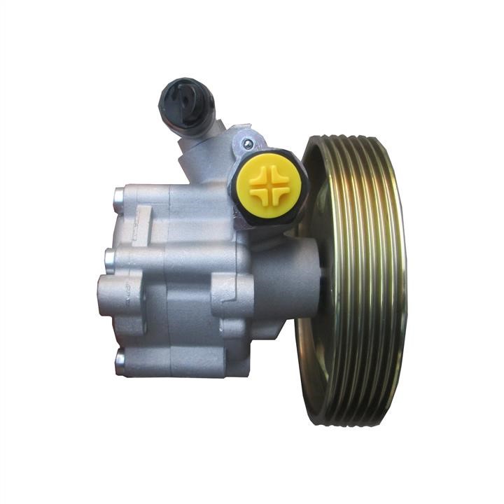 Hydraulic Pump, steering system WRC 4901524