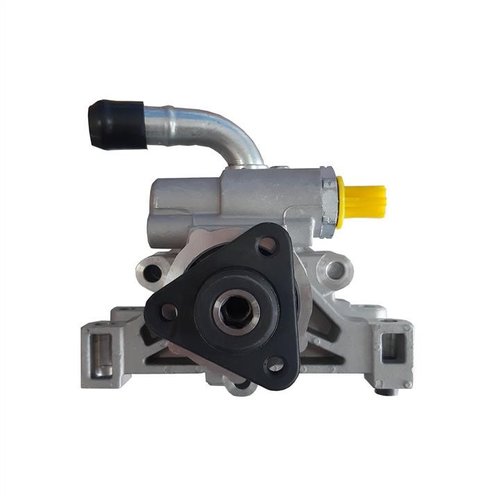 Hydraulic Pump, steering system WRC 4901596