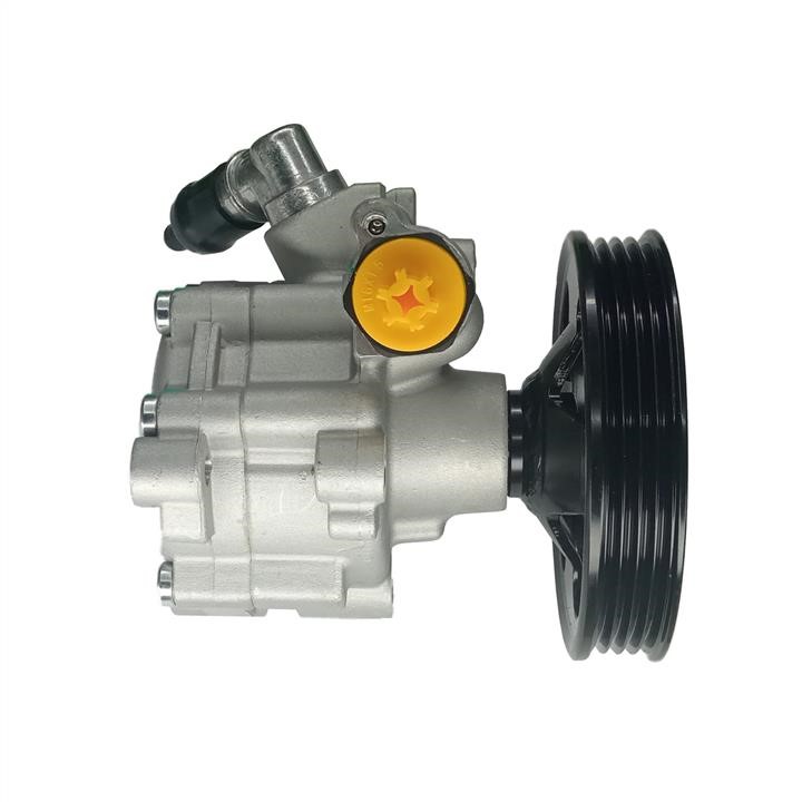 Hydraulic Pump, steering system WRC 4901845