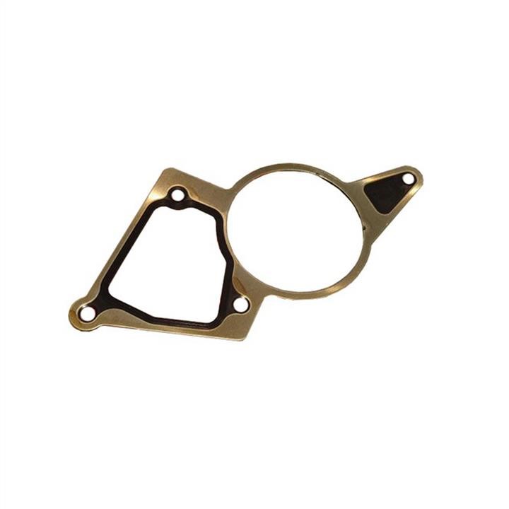 9100008 WRC Vacuum pump gasket