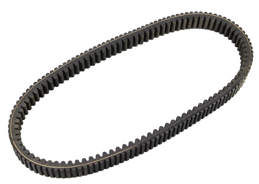 XTX5028 Dayco Drive belt variator
