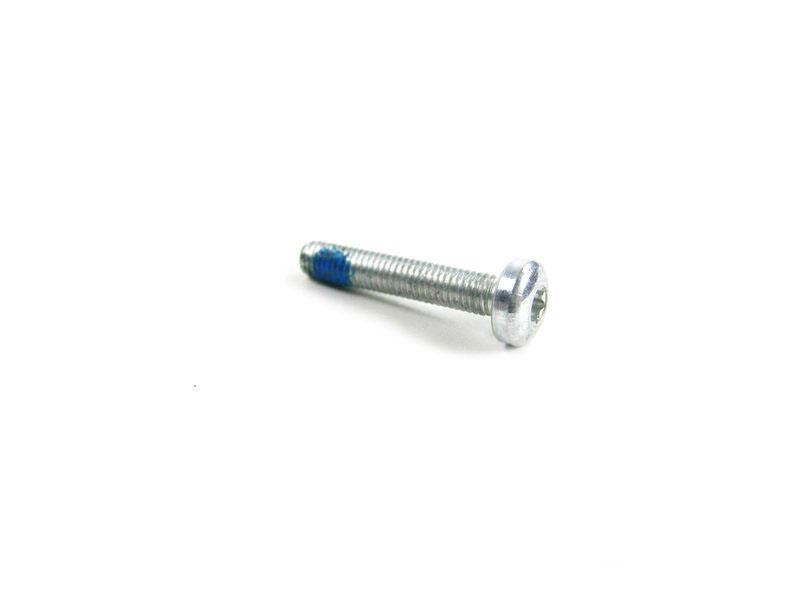 07147077613 BMW Torx Bolt 889520