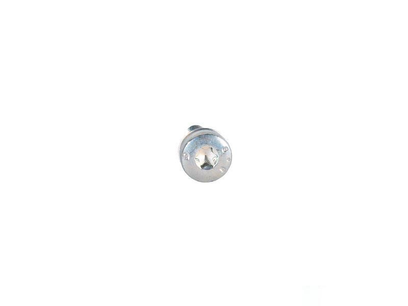 24101423273 BMW Screw