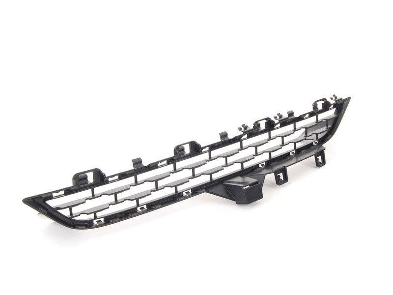 Bumper mesh BMW X5: 51117336506 BMW Grille bumper