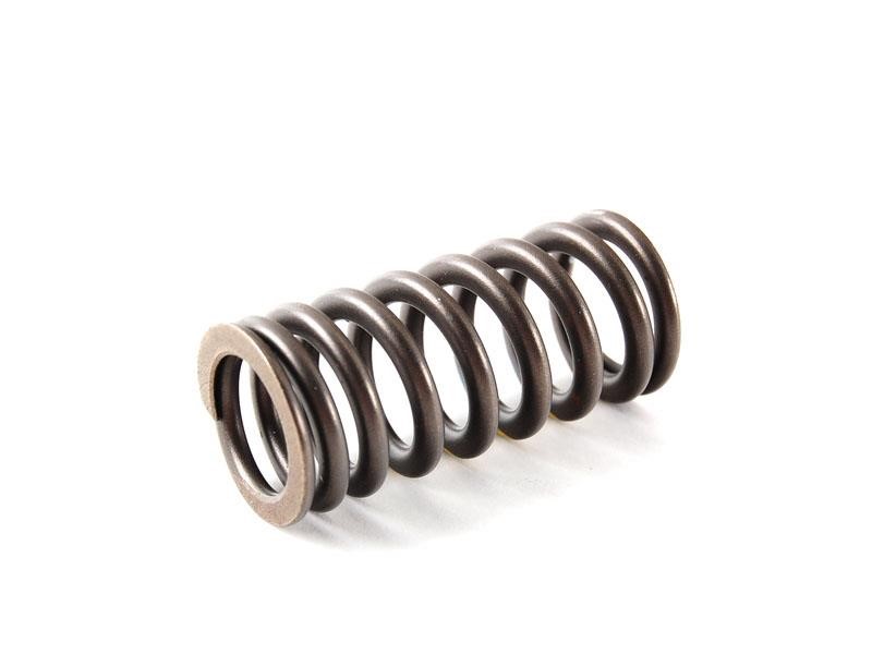 06F109623 VAG Valve spring