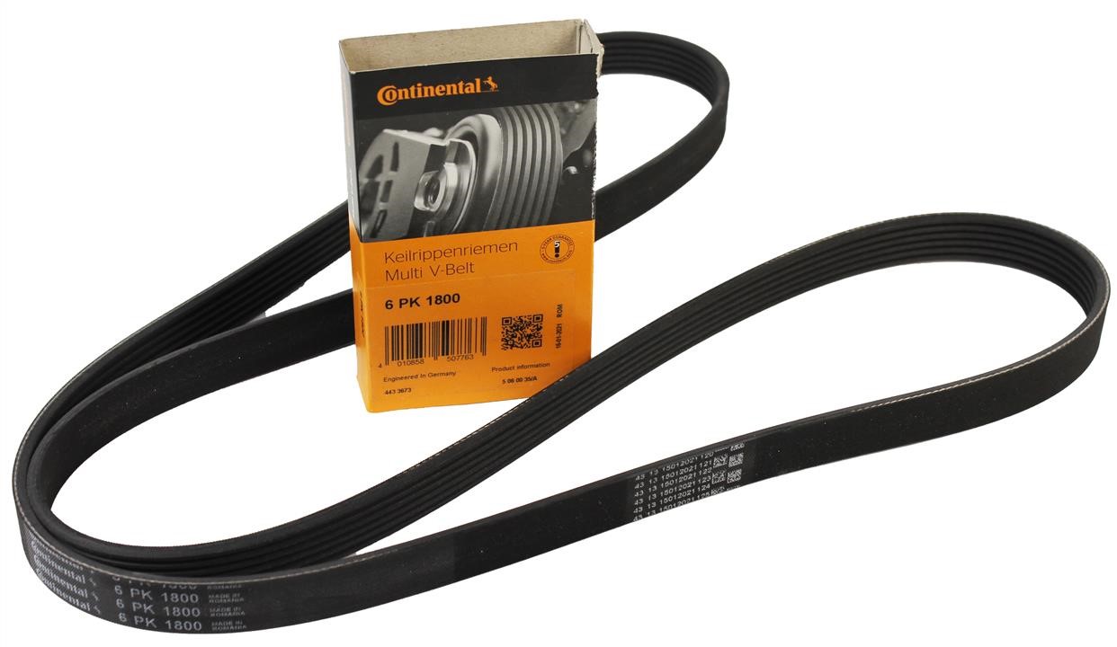 Buy Contitech 6PK1800 at a low price in United Arab Emirates!