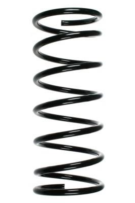 GKN-Spidan 48071 Suspension spring front 48071